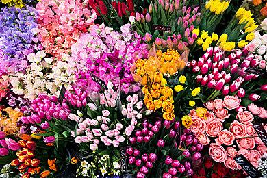 《OYASUMII》登陆Steam 复古风恐怖冒险